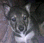 Benutzeravatar